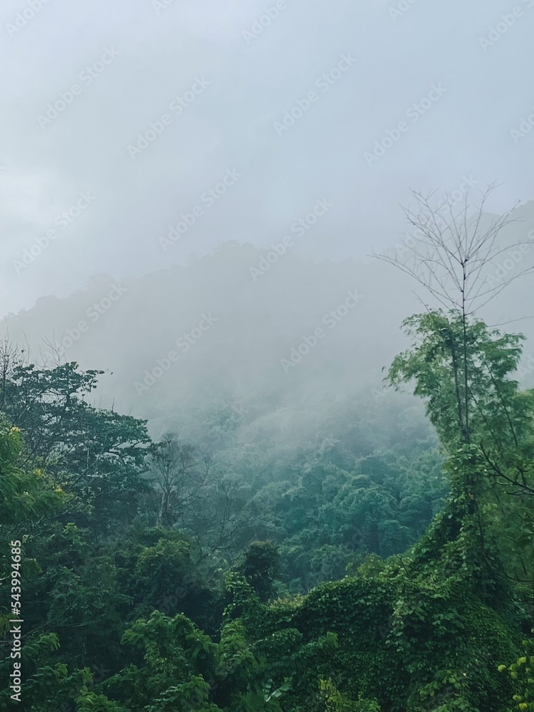 fog in the mountains. Khao Yai, Thailand 