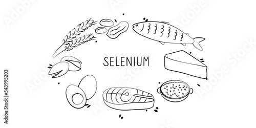 Selenium-containing food. Groups of healthy products containing vitamins and minerals. Set of fruits, vegetables, meats, fish and dairy