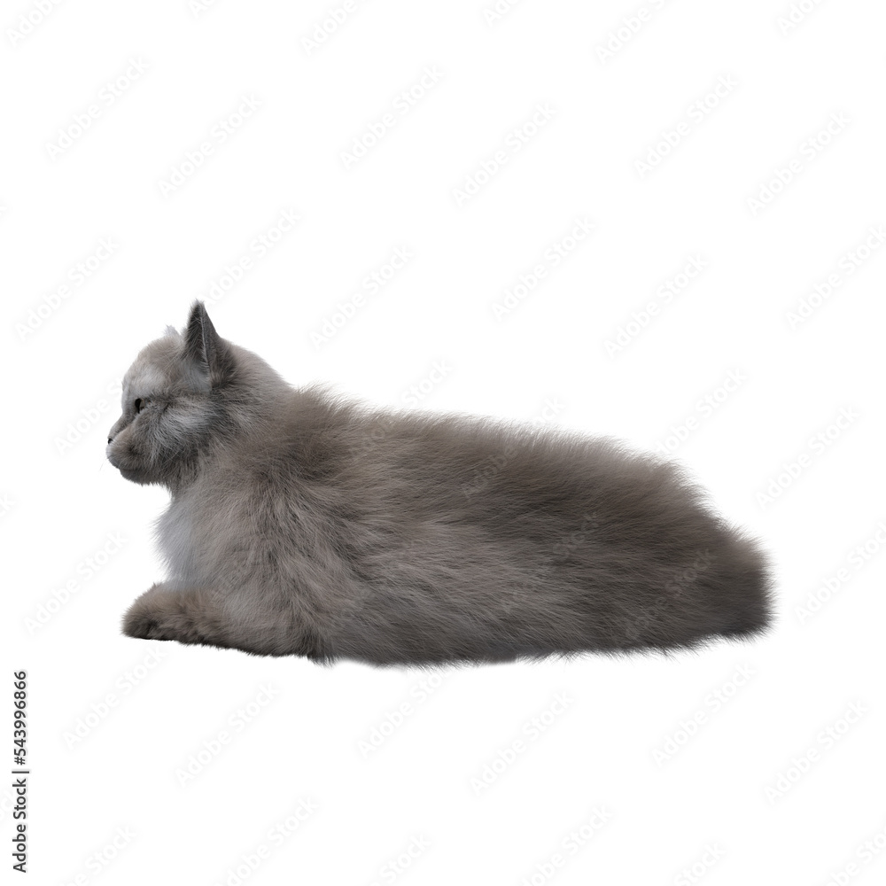 cat isolated on white background, 3D illustration, cg render