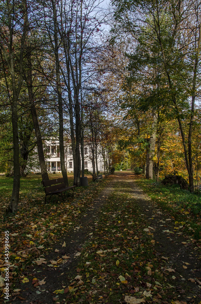 Park w Iwoniczu koło dworu Załuskich 