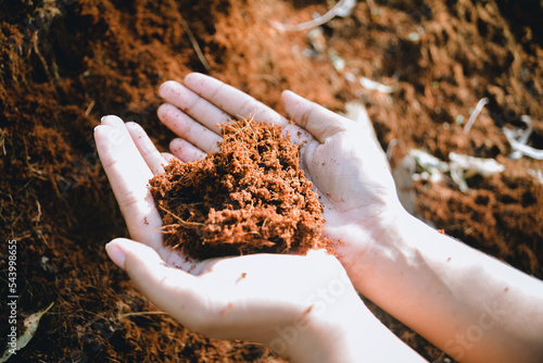 Woman hand holding soil in heart shape for planting
