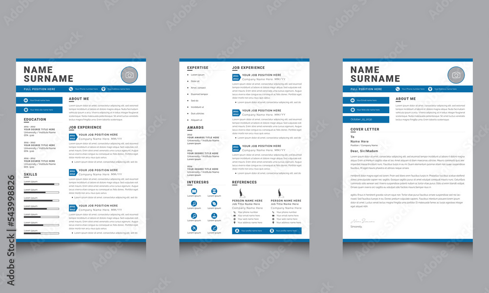 Professional CV, Resume Layout, CV Template 100% Editable vector design