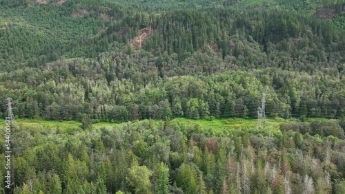 Wide side view of utility cables running through Washington's thick forests. photo