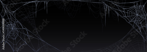 Fotografiet Spider web isolated on black background