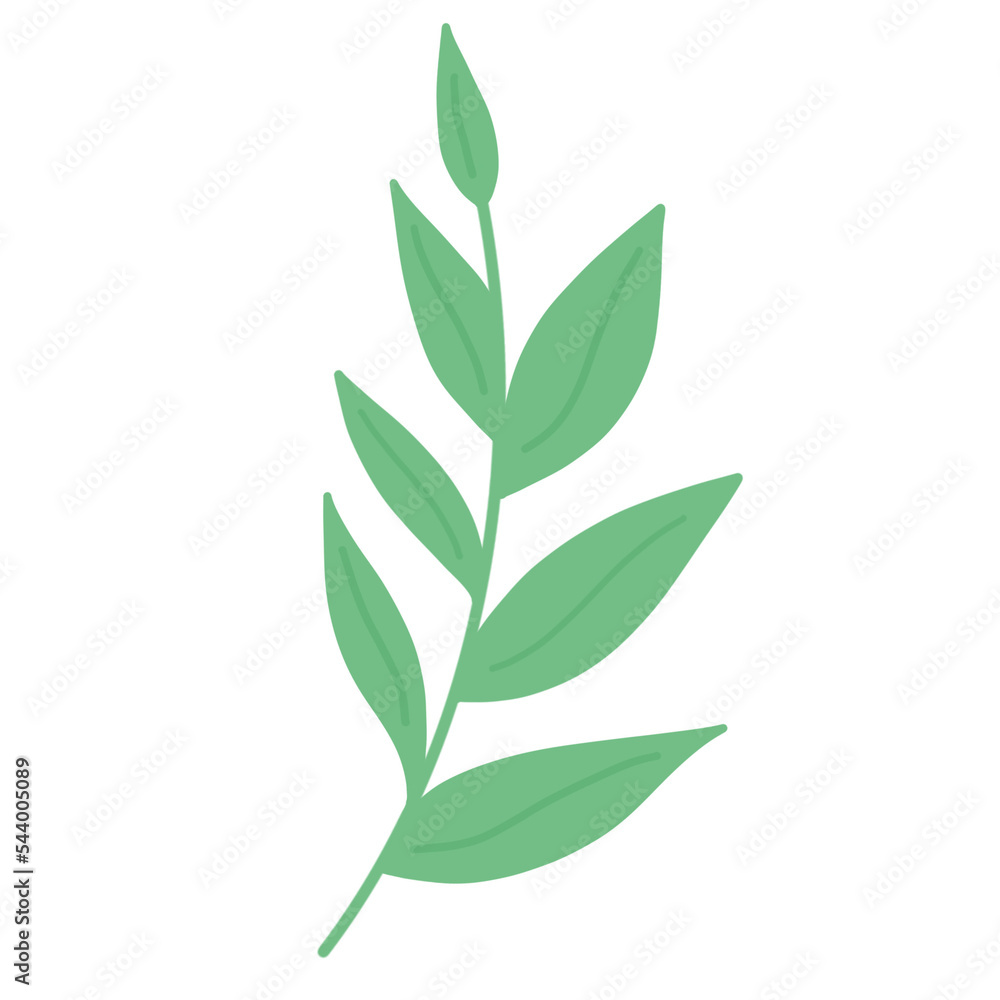 Obraz premium Green Leaf Branch