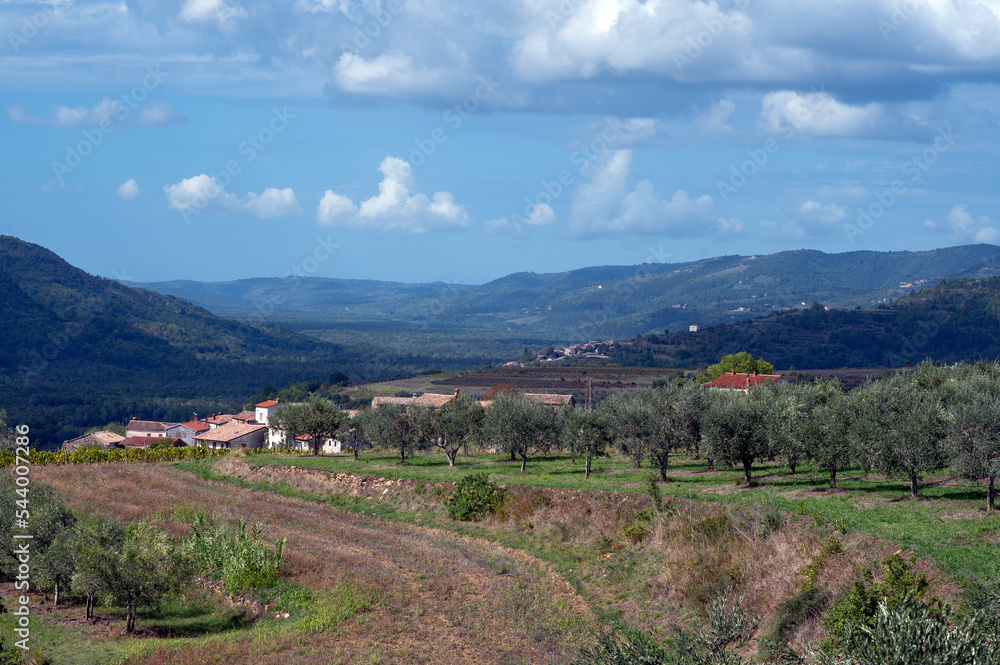 Paysage méditerranéen de l'Istrie en Croatie autour du village de Buzet