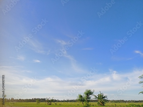 field and blue sky