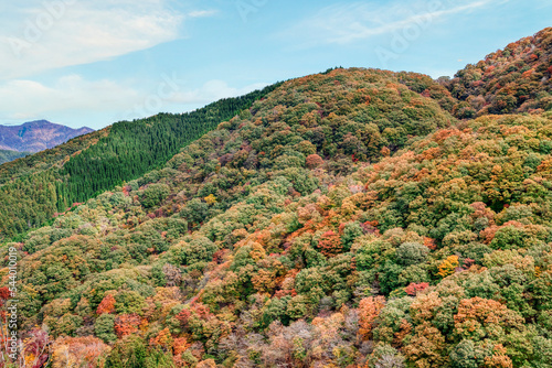 紅葉　秋の山　カラフル