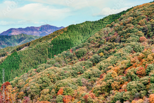 紅葉　秋の山　カラフル