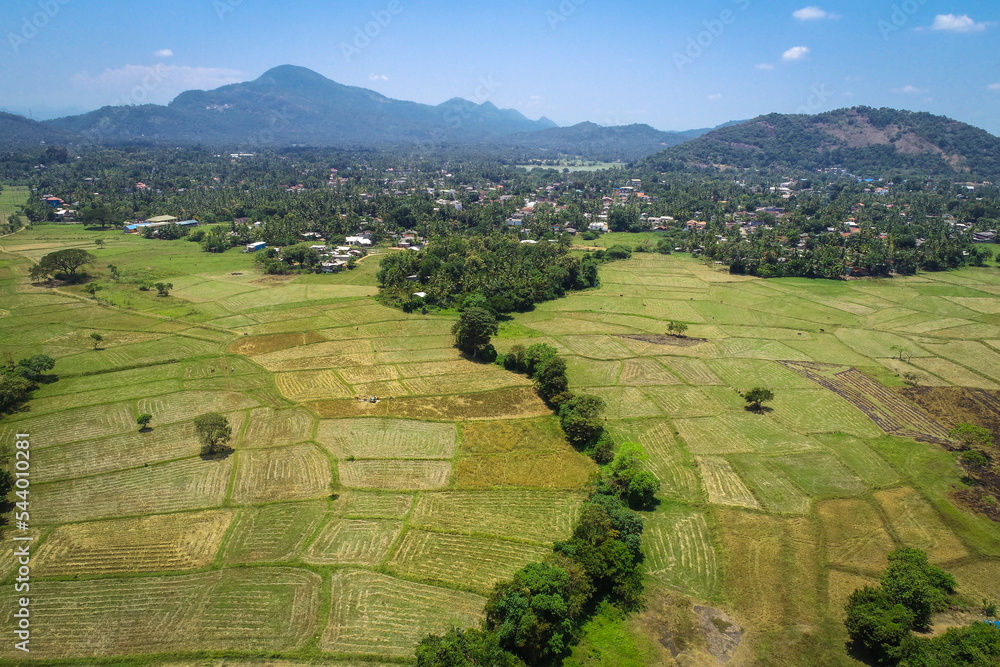 Aerial view of a beautiful paddy field in Kurunegala, Sri Lanka.