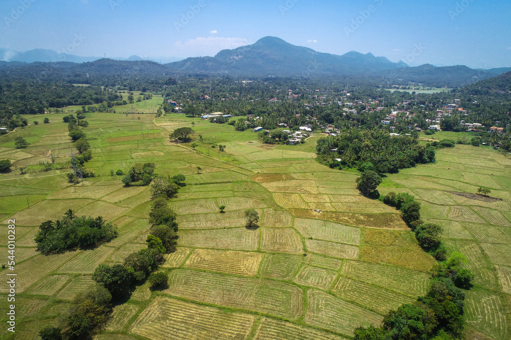 Aerial view of a beautiful paddy field in Kurunegala, Sri Lanka.