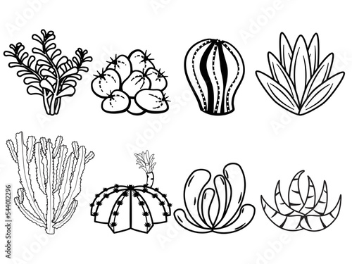 Set outlines cactus and succulents in doodle style. Hand drawn cactus black and white line art set. Vector illustration on white background in line style.