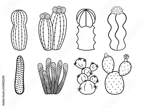 Set outlines cactus and succulents in doodle style. Hand drawn cactus black and white line art set. Vector illustration on white background in line style.