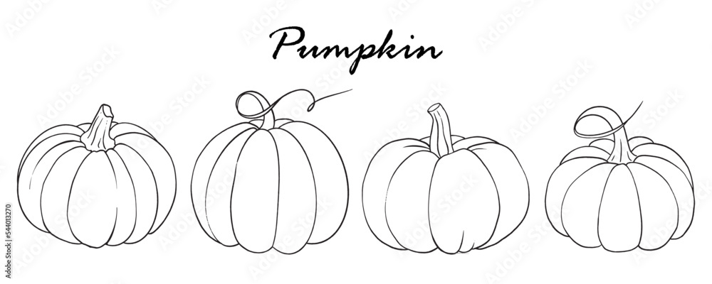 Outlines autumn set of pumpkins. Hand drawn black and white line art doodle. Vector illustration, hand drawing. Perfect graphic for Thanksgiving day, Halloween, greeting cards, posters, and more. Outlines autumn set of pumpkins. Hand drawn black and white line art doodle. Vector illustration, hand drawing. Perfect graphic for Thanksgiving day, Halloween, greeting cards, posters, and more.