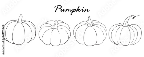Outlines autumn set of pumpkins. Hand drawn black and white line art doodle. Vector illustration, hand drawing. Perfect graphic for Thanksgiving day, Halloween, greeting cards, posters, and more.