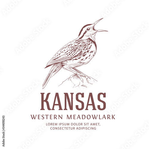 Vintage Logo. Kansas State Bird. Western Meadowlark