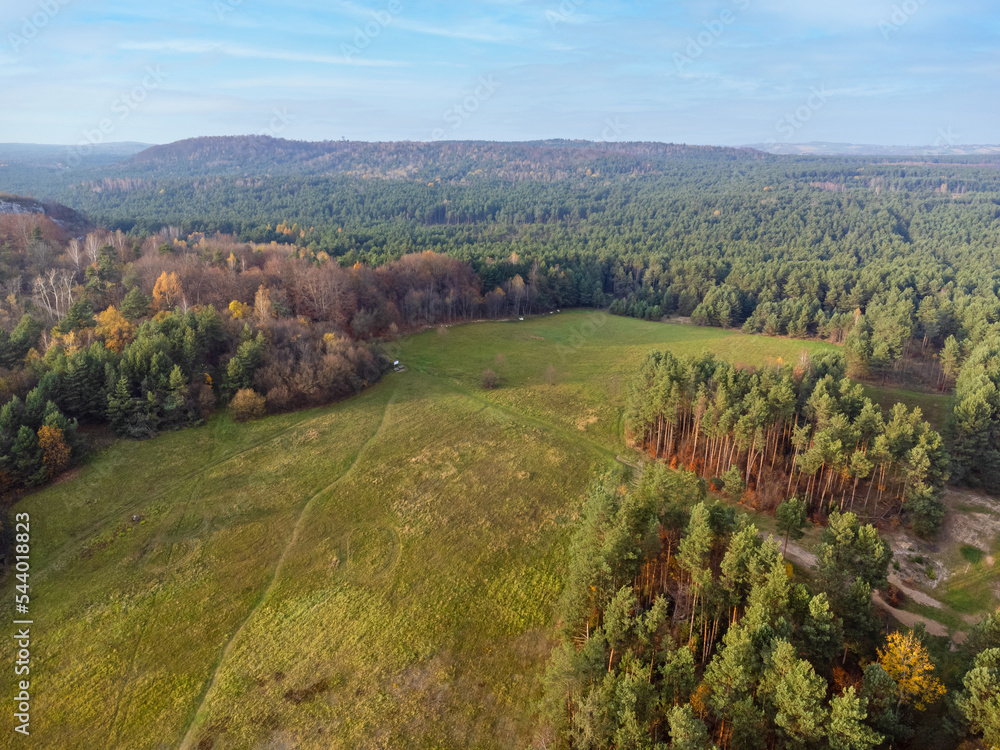 Forest, grove seen from above. Aerial view. Trees, nature, path, grass, greenery. Photo from a drone. Rural landscape.