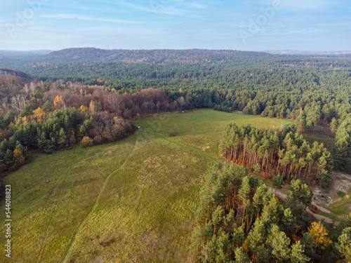 Obraz na płótnie Forest, grove seen from above. Aerial view. Trees, nature, path, grass, greenery. Photo from a drone. Rural landscape. w salonie