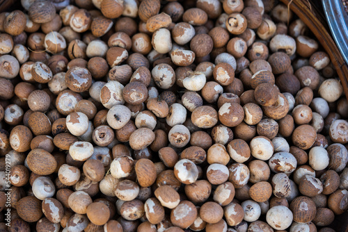 The cut Betel nut or Areca catechu was dry by the sunshine for eating.