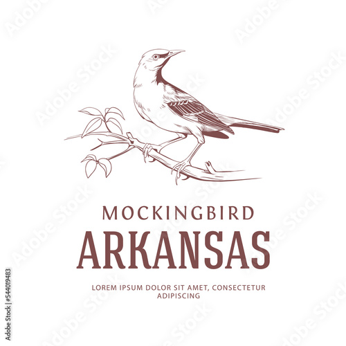 Canvas Print Mockingbird Vintage Logo. Arkansas State Bird