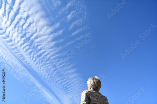 秋の青空を眺めるシニア女性の後ろ姿