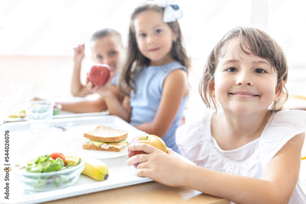 Smiling elementary student with food tray on table at lunch break in cafeteria Smiling elementary student with food tray on table at lunch break in cafeteria