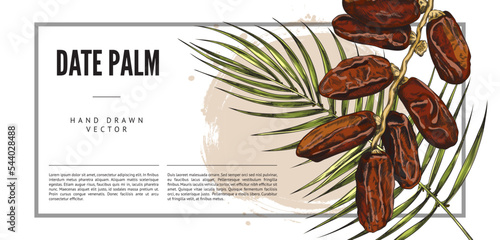 Date palm horizontal banner with branches and fruits sketch vector illustration.