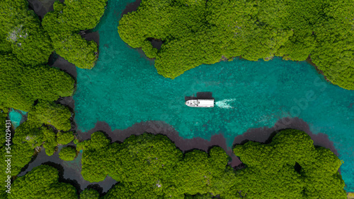 ariel view of a boat between the mangrove trees photo