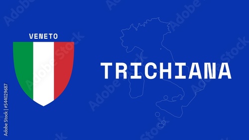 Trichiana: Illustration mit dem Ortsnamen der italienischen Stadt Trichiana in der Region Veneto photo