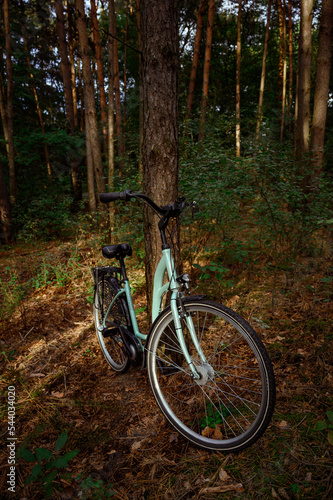 Cycling in nature. blue walking bike in the forest. cycling holiday