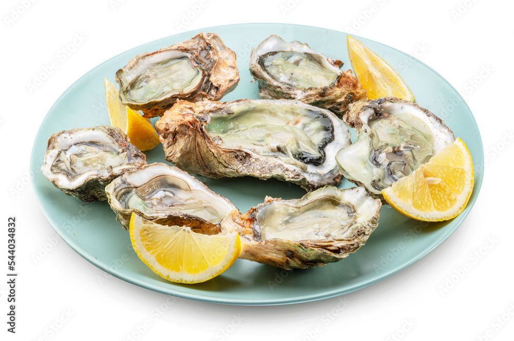 Raw oysters served with lemon slices on plate. Delicacy food. File contains clipping path.