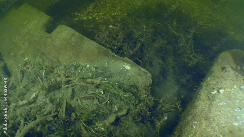 Archaeological research: the side of an ancient wooden vessel of the Cossacks, grooves for the installation of oars are visible in the upper edge, the Dnieper river. Archaeological research: the side of an ancient wooden vessel of the Cossacks, grooves for the installation of oars are visible in the upper edge, the Dnieper river.