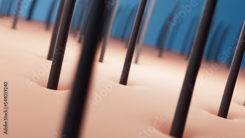 3D rendering animation of close-up oil or serum drop on skin of head for growthing hair and rejuvenating hair, hair beauty concept