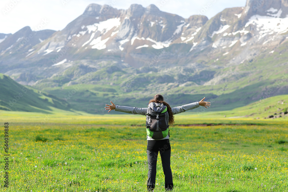 Back view of a hiker celebrating vacation in nature Back view of a hiker celebrating vacation in nature