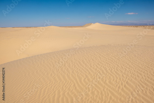 Sahara Tunez