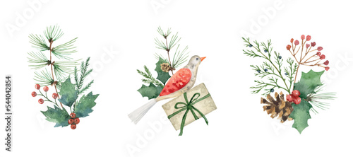 Tela A set of watercolor vector bouquets with a fir branch, bird, holly and gifts