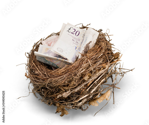 Canvastavla Nest with British Pounds In It