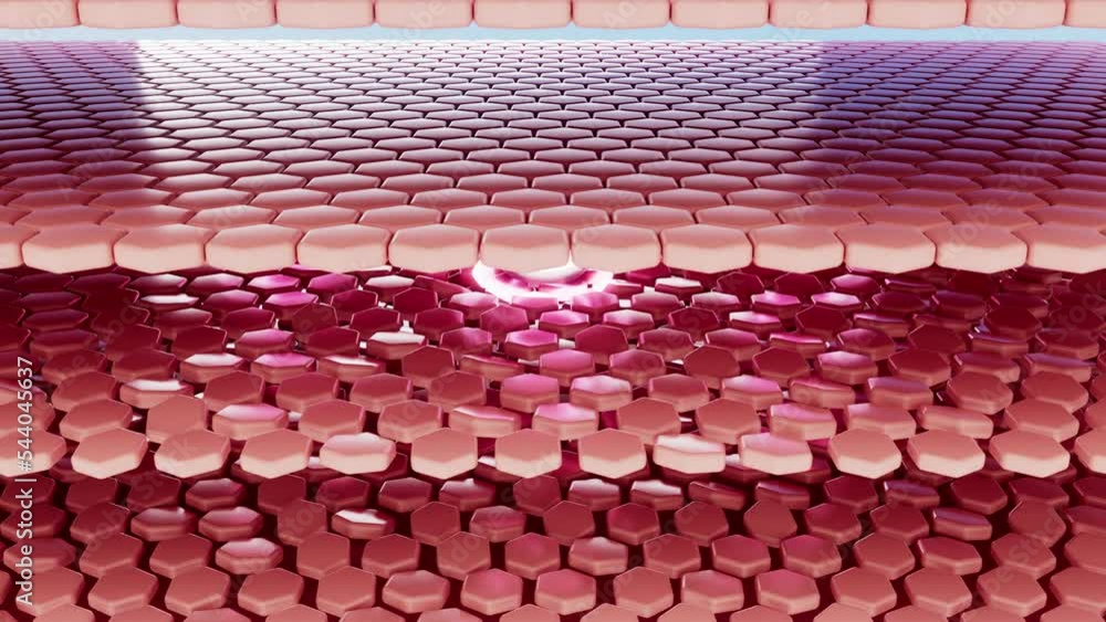 3D rendering animation, close up Drops of oil absorbed into the layers