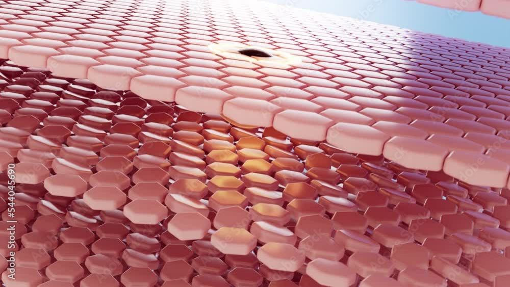 3D rendering animation, close up Drops of oil absorbed into the layers