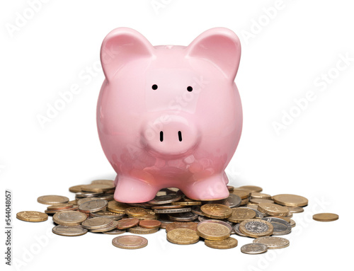 Piggy Bank on Coins photo