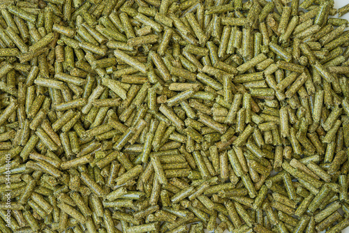 alfalfa close-up, horizontal orientation photo