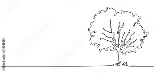 continuous single line drawing of broadleaf tree isolated on white, line art vector illustration