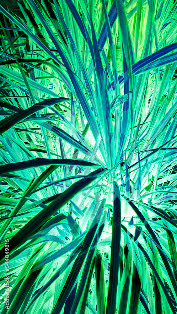 abstract green background abstract green background