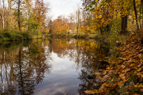 Beatuful vivid colorful autumn landscape reflecting at the river