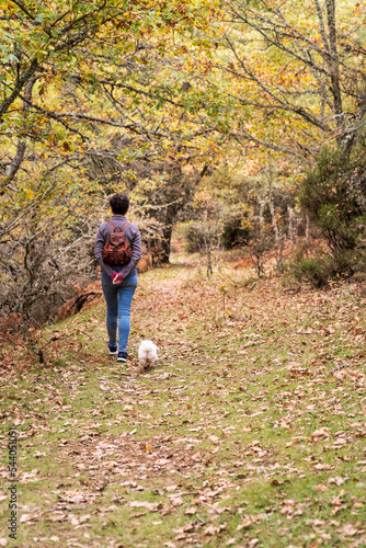 Personas caminando por el bosque en otoño, por camino entre arboles 