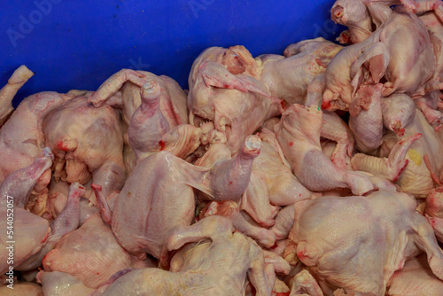 Carcasses of broilers at meat factory.