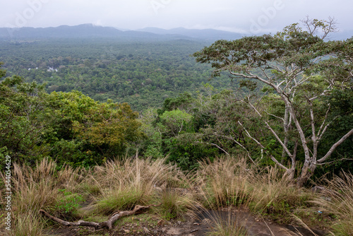 Forest path to Sigiriya Lion Rock Fortress in Sri Lanka.