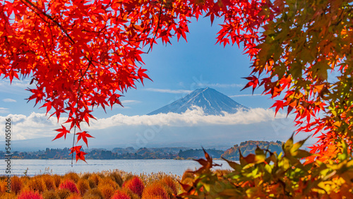 紅葉　富士山　秋　河口湖　絶景 photo