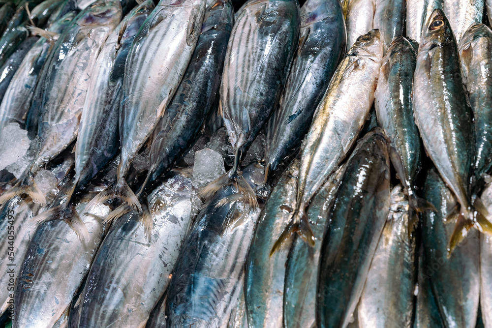 Obraz premium Fisheries Activities And Fish Market In Negombo, Sri Lanka. 