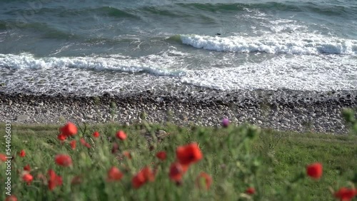 Blurred grass and Red flowers near seashore and waves in slow motion. Concept of calmness and equability